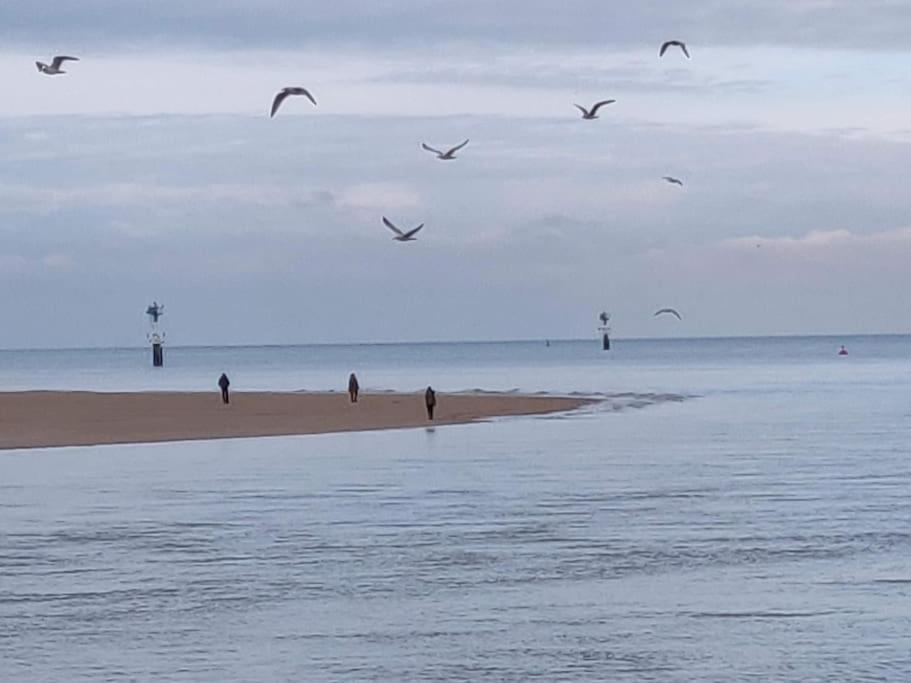 La Baleine - Hyper Centre, Charme Et Calme A Deux Pas De La Mer Cabourg Extérieur photo